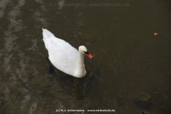 fotografie-32