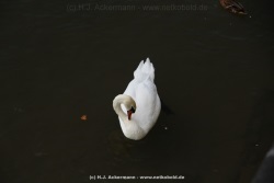 fotografie-146