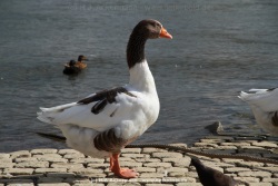 fotografie-62