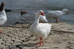 fotografie-51
