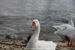 fotografie-10