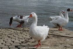 fotografie-19