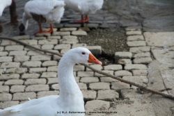 fotografie-49