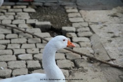 fotografie-169