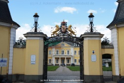 fotografie-5