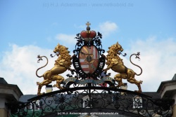fotografie-6