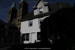 fotografie-11