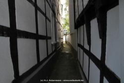 fotografie-14
