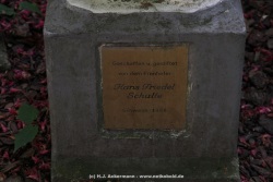 fotografie-54