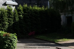 fotografie-68