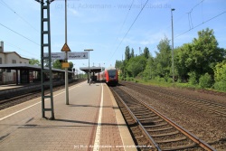 fotografie-11
