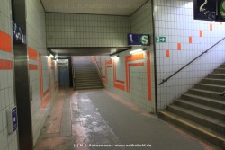 fotografie-14