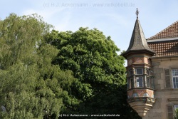 fotografie-38