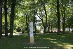 fotografie-1