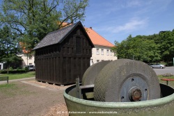 fotografie-12