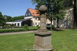 fotografie-26