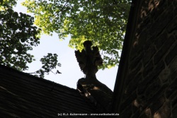 fotografie-64
