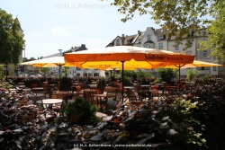fotografie-14