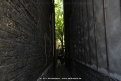 fotografie-29