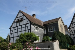 fotografie-57