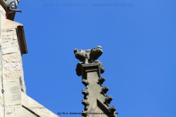 fotografie-22