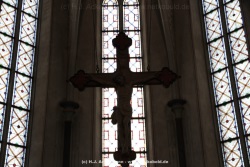 fotografie-79