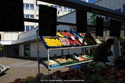 fotografie-116
