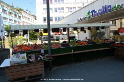fotografie-28