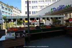 fotografie-4