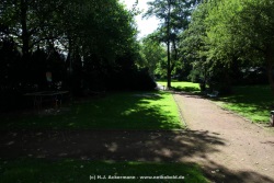 fotografie-84