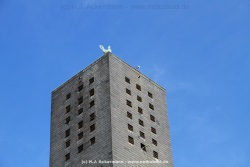 fotografie-127