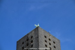 fotografie-55
