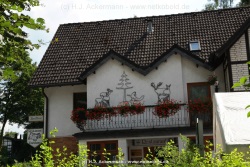 fotografie-35