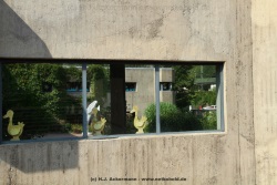 fotografie-68