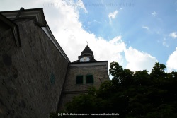 fotografie-11