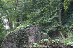 fotografie-39