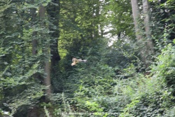 fotografie-43
