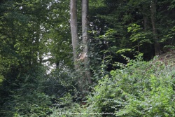 fotografie-45