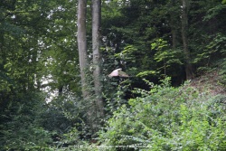 fotografie-46