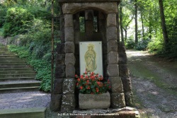 fotografie-6