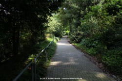 fotografie-8