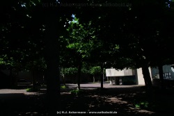 fotografie-172