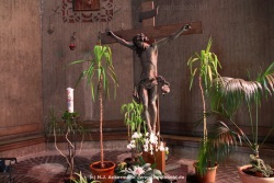 fotografie-5