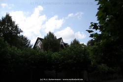 fotografie-49