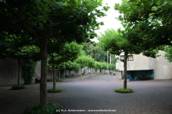 fotografie-10