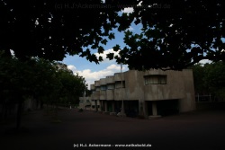 fotografie-60