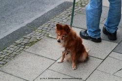 fotografie-160