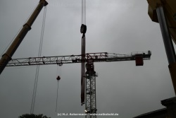 fotografie-11