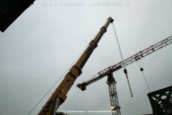 fotografie-29