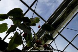 fotografie-14